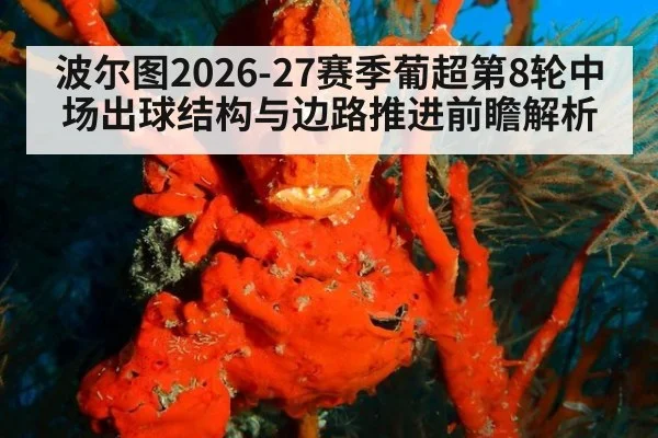 波尔图2026-27赛季葡超第8轮中场出球结构与边路推进前瞻解析 - jiuyou game